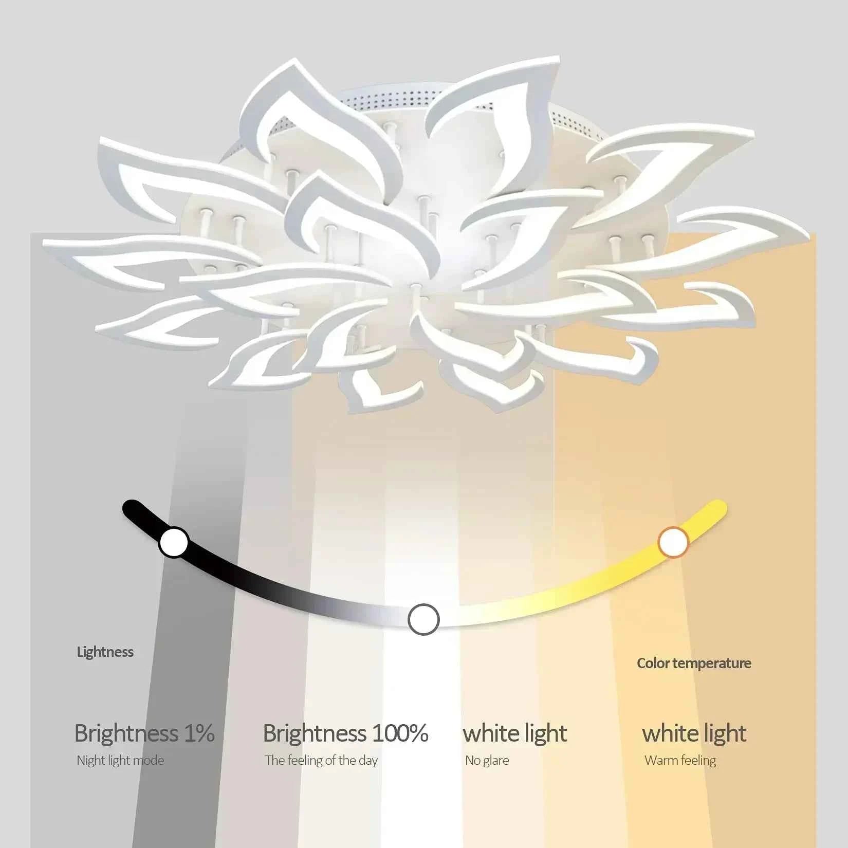 Modern Acrylic LED Ceiling Light Elegant Interior Lighting