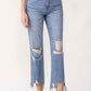 Lovervet High Rise Distressed Straight Jeans