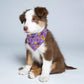 popcustoms - Animal Scarf Pet Adjustable Bandanas for Dogs Cats