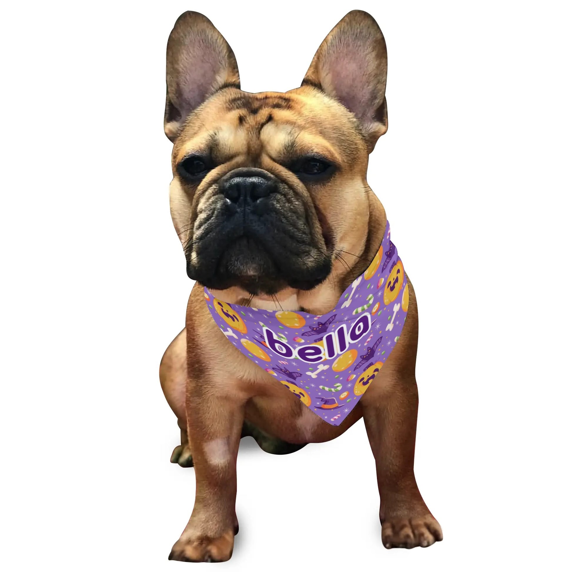 popcustoms - Animal Scarf Pet Adjustable Bandanas for Dogs Cats
