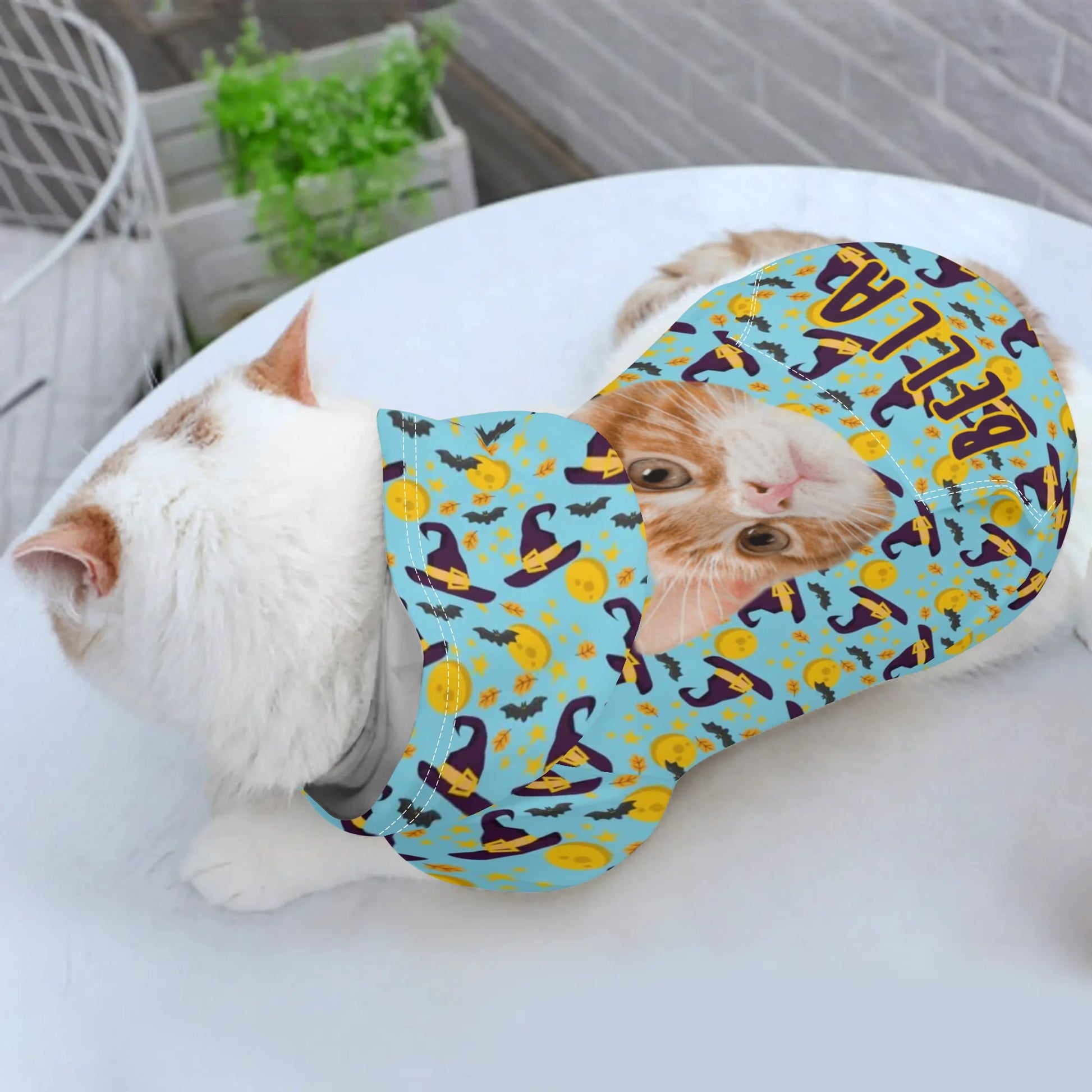 popcustoms - Animal Clothes 4 Legs Outfit Pet Pullover Hoodie XXL